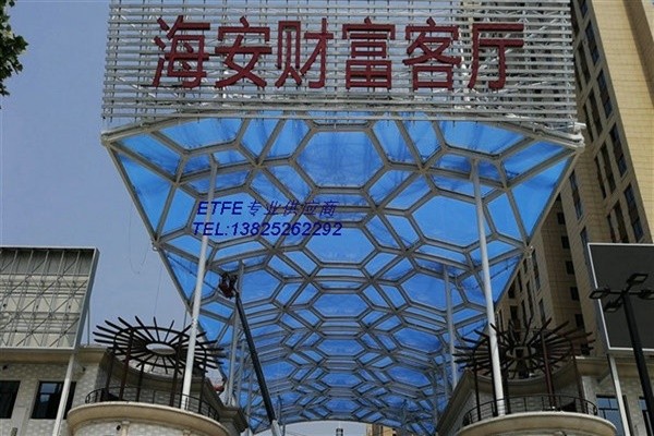 ETFE16.jpg