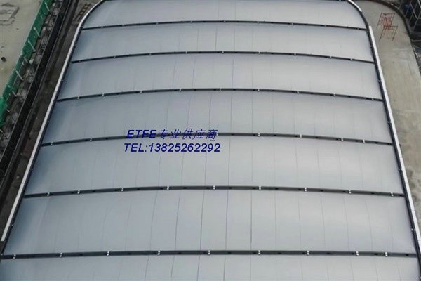 ETFE19.jpg